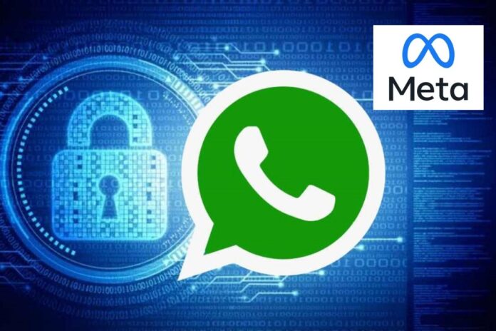 WhatsApp encrypted backups